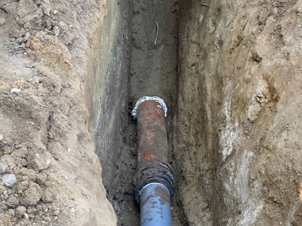 Best 24/7 water damage repair  in Mallory, WV