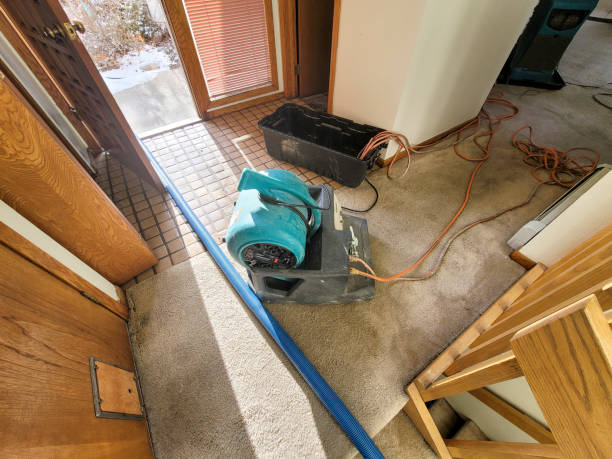 Best Flood damage cleanup  in Mallory, WV
