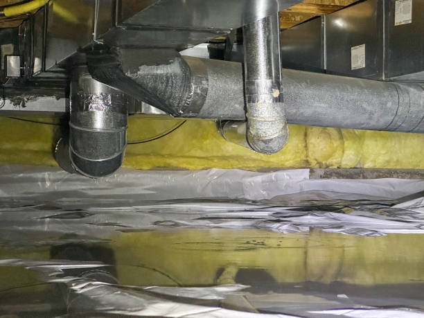Best Emergency water damage restoration  in Mallory, WV