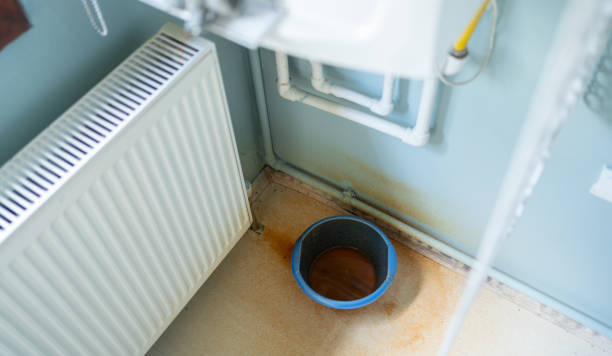 Best Carpet water damage restoration  in Mallory, WV