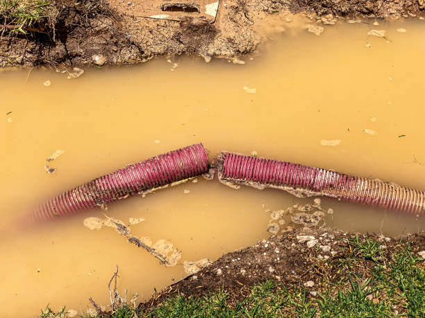 Reliable Mallory, WV Water damage restoration Solutions