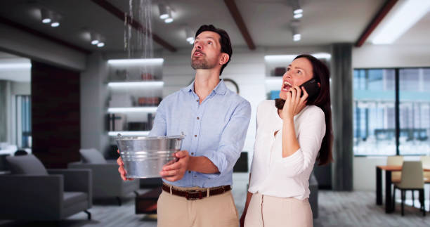  Mallory, WV Water damage restoration Pros