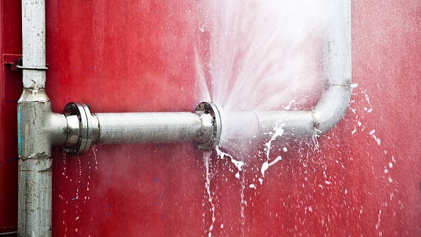 Best Local water damage restoration  in Mallory, WV